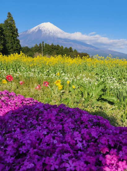 banner monte fuji, guia de montanhismo no Japão